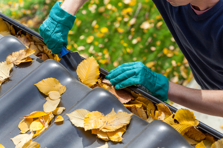 Preparing Roof for fall Blog