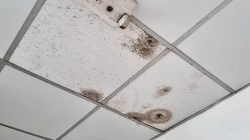 Water Spot on Ceiling Causes & What To Do