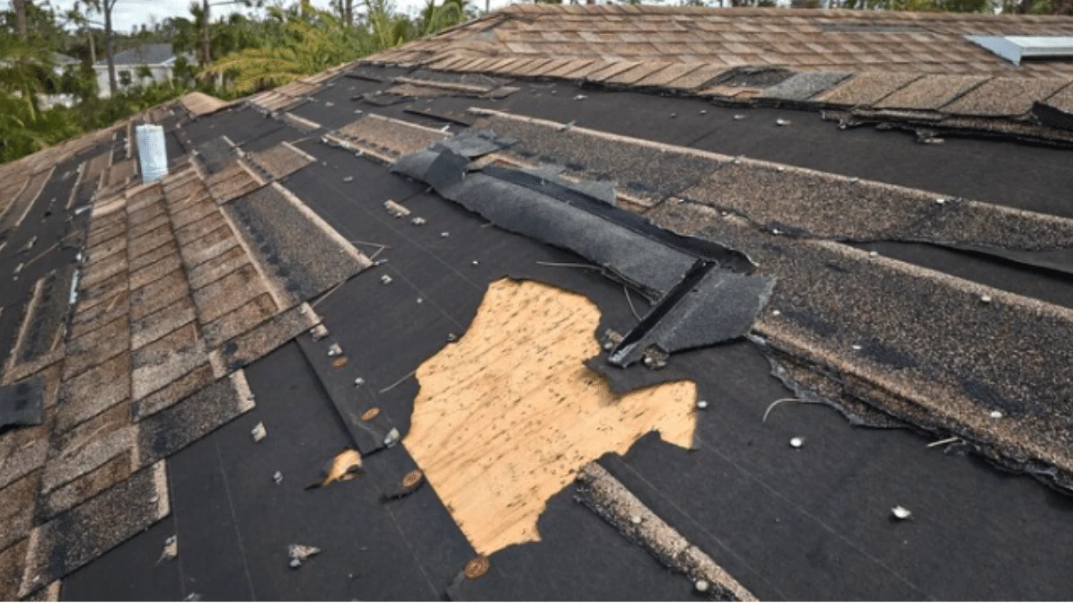 Wind Damage How to Spot and Address Roofing Issues